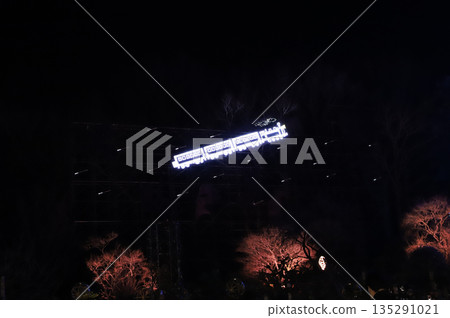 Flying Train Illumination (Ashikaga Flower Park, Tochigi Prefecture 2025) 135291021