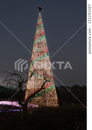 聖誕樹造型的燈光秀（栃木縣足利花卉公園，2025） 135291087