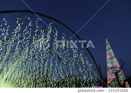 冬季燈光秀（栃木縣足利花卉公園，2025） 135291088