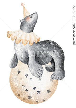 Cute circus animal illustration. Seal sits on ball. Watercolor drawing for children, nursery, birthday, card, poster. Hand drawn illustration for kids, newborn, baby shower, wall art, invitation Cute circus animal illustration. Seal sits on ball. Watercolor drawing for children, nursery, birthday, card, poster. Hand drawn illustration for kids, newborn, baby shower, wall art, invitation 135291773