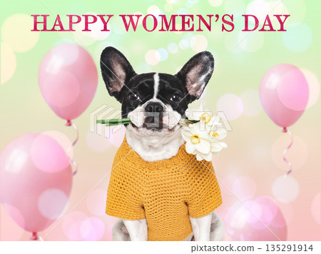 Happy Women's Day. Cute puppy and congratulatory inscription 135291914