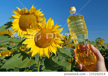 Human hand holding bottle of sunflower oil near sunflower in field Human hand holding bottle of sunflower oil near sunflower in field 135292014