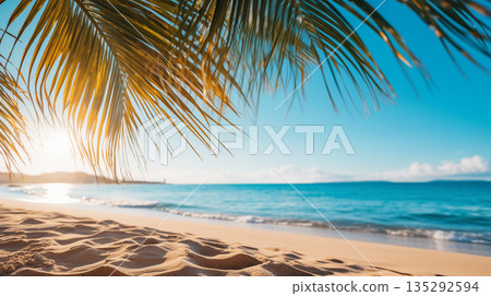 Tropical beach. Summer vacation on a tropical island with beautiful beach and palm trees. Tropical Maldives. 135292594