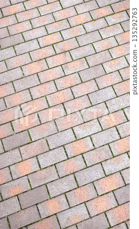 Top view of paving stone texture on a walkway with green moss growing in the joints between bricks Top view of paving stone texture on a walkway with green moss growing in the joints between bricks 135292763