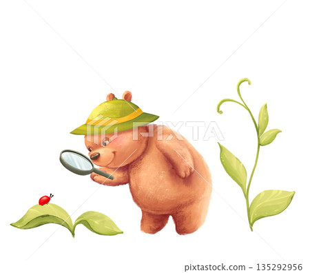 Illustration of a cute hand-drawn little bear character in a sun hat looking at a bug through a magnifying glass. A perfect scene for summer holiday projects, children's educational materials, or Illustration of a cute hand-drawn little bear character in a sun hat looking at a bug through a magnifying glass. A perfect scene for summer holiday projects, children's educational materials, or 135292956