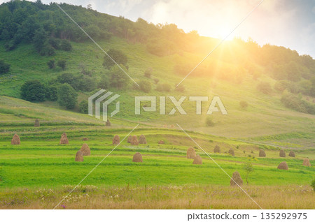 Picturesque Mountain Valley with Haycocks and Golden Sunlight Picturesque Mountain Valley with Haycocks and Golden Sunlight 135292975