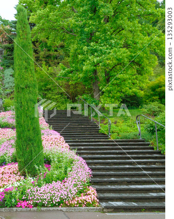 Picturesque Park Stairway Surrounded by Lush Greenery and Blooms Picturesque Park Stairway Surrounded by Lush Greenery and Blooms 135293003