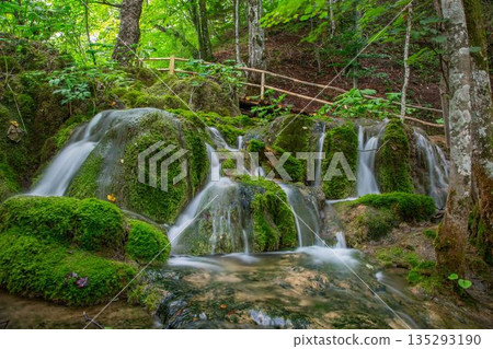 Plitvice Lakes Waterfall Forest Scene 135293190