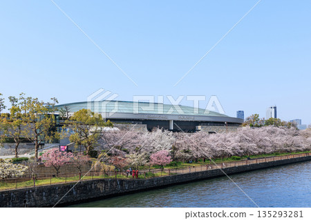 春日大阪城殿與盛開的櫻花（大阪府大阪市中央區） 135293281