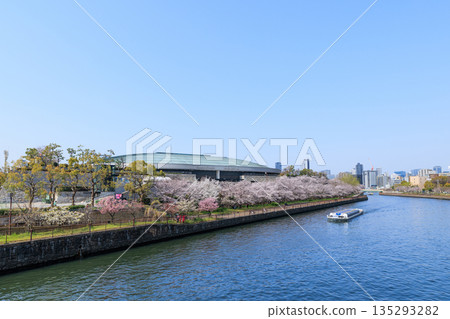 春日大阪城殿與盛開的櫻花（大阪府大阪市中央區） 135293282