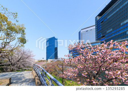 大阪城公園和大阪商務園區的櫻花（大阪府大阪市中央區） 135293285