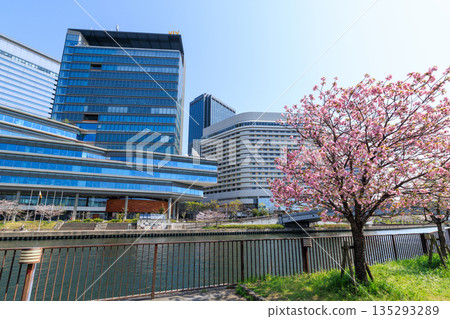大阪城公園和大阪商務園區的櫻花(大阪府大阪市中央區) 大阪城公園和大阪商務園區的櫻花(大阪府大阪市中央區) 135293289
