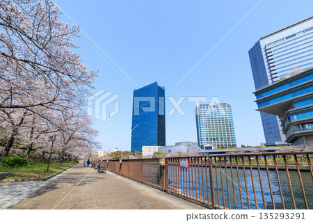 大阪城公園和大阪商務園區的櫻花（大阪府大阪市中央區） 135293291