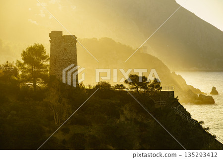 Spanish coast with Pine Tower, Andalusia. 135293412