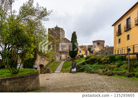 Medieval hilltop castle-fortress Castelo de Palmela in Portugal. Large walls with watchtowers. National Monument in Portugal. 135293605