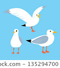 Vector set of illustrations with funny seagulls on a blue background 135294700