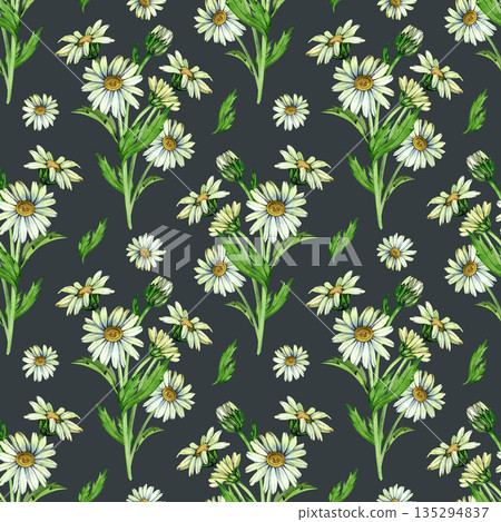 Elegant seamless botanical pattern with watercolor illustration of chamomile daisies and leafy stems. Ideal for fabrics, gift wrap, wallpapers, notebooks, and soft floral-themed surface design Elegant seamless botanical pattern with watercolor illustration of chamomile daisies and leafy stems. Ideal for fabrics, gift wrap, wallpapers, notebooks, and soft floral-themed surface design 135294837