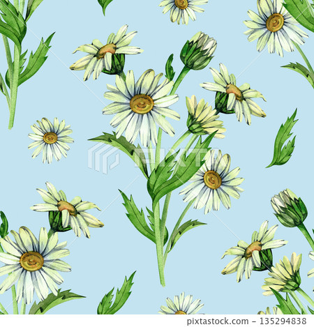 Seamless watercolor illustration pattern with delicate white daisies and fresh green stems. Light floral botanical design perfect for textile prints, wallpapers, wrapping paper, and romantic Seamless watercolor illustration pattern with delicate white daisies and fresh green stems. Light floral botanical design perfect for textile prints, wallpapers, wrapping paper, and romantic 135294838