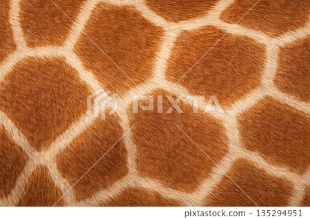 Giraffe fur mottled texture 135294951