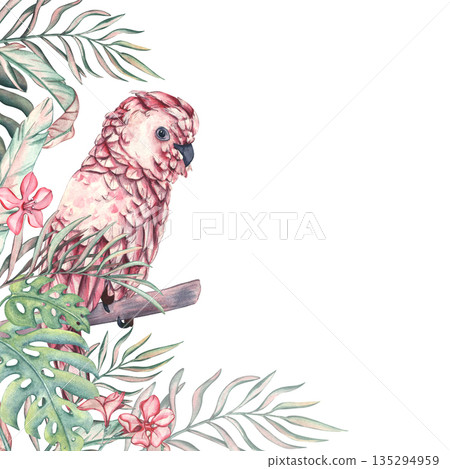 Parrot in palm leaves. Pink cockatoo on a branch. Bird in the jungle. watercolor illustration of tropical parrot in palm leaves. Corner frame with space for text for invitation, card, cosmetic package 135294959
