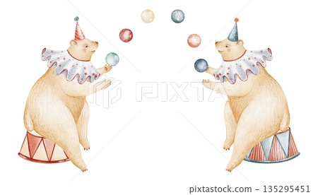 Circus Bears Juggling Balls Illustration 135295451