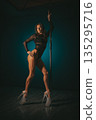 Pole dance performer posing confidently beside pole with spotlight glow, sheer costume and high heels emphasizing presence, charisma and professional stage readiness for editorial or promotional shoot 135295716