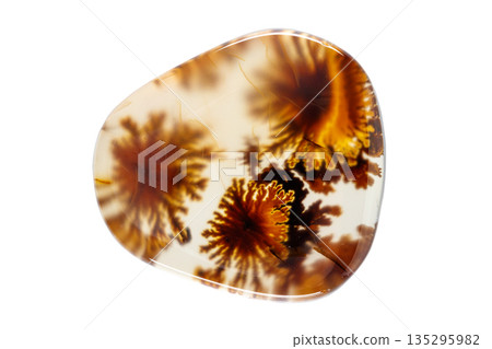 macro mineral stone Agata muschiata on a white background  135295982