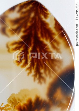 macro mineral stone Agata muschiata on a white background macro mineral stone Agata muschiata on a white background 135295986