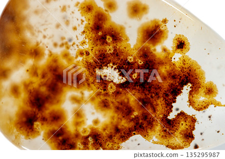 macro mineral stone Agata muschiata on a white background  135295987