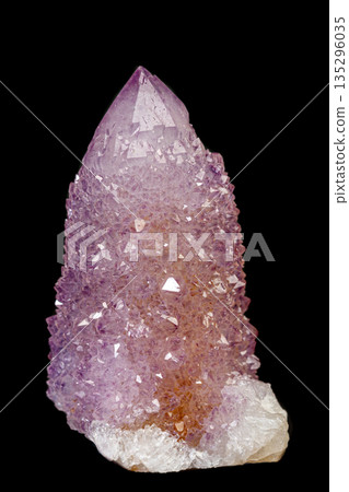 macro mineral stone amethyst cactus on a black background 135296035