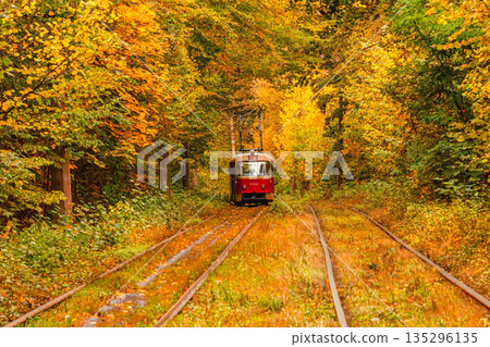 Autumn forest through which an old tram rides (Ukraine) 135296135
