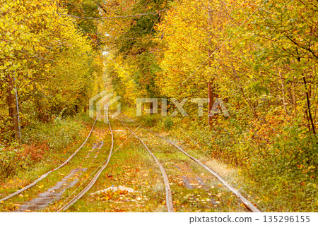Autumn forest through which an old tram rides (Ukraine) Autumn forest through which an old tram rides (Ukraine) 135296155