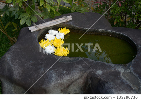 Flower hand water pot Flower hand water pot 135296736