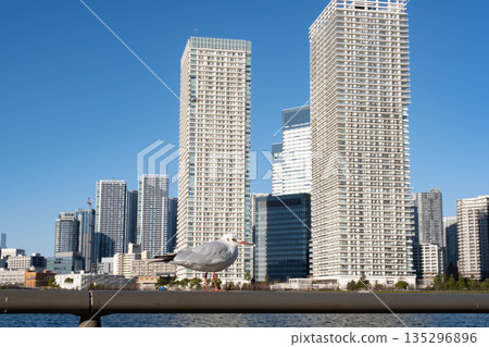 百合海鷗線，背景是晴海的摩天大樓 135296896
