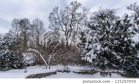 Snow-covered landscape featuring tall trees and a stone border, creating a serene winter scene with a tranquil atmosphere and soft light filtering through the clouds Snow-covered landscape featuring tall trees and a stone border, creating a serene winter scene with a tranquil atmosphere and soft light filtering through the clouds 135297059