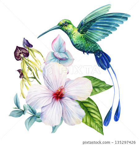 Hummingbird with Hibiscus, Orchid Watercolor Tropical Floral Illustration Green Blue Bird Botanical Art on White Background Hummingbird with Hibiscus, Orchid Watercolor Tropical Floral Illustration Green Blue Bird Botanical Art on White Background 135297426