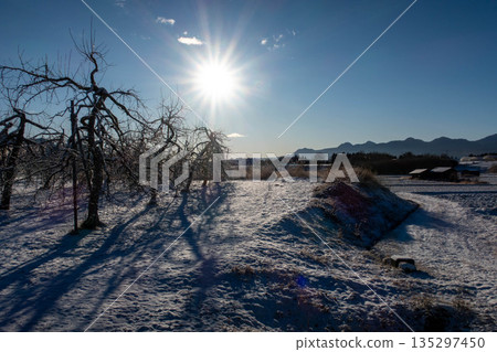 冬日清晨,農田上覆蓋著一層薄薄的積雪,寒風凜冽。 冬日清晨,農田上覆蓋著一層薄薄的積雪,寒風凜冽。 135297450