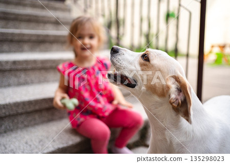 Joyful moments between a child and her playful dog on the stairs Joyful moments between a child and her playful dog on the stairs 135298023