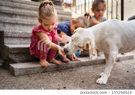 Children playing with a dog on a sunny afternoon outdoors 135298028