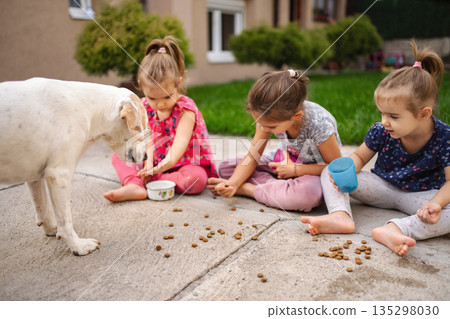 Children joyfully feeding a dog in the backyard on a sunny day 135298030
