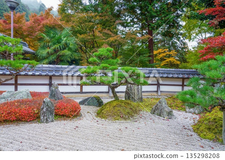 A traditional Japanese dry landscape garden and autumn foliage in the colors of autumn 135298208