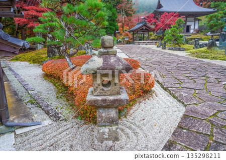 秋日里,日式庭園中,石燈籠與秋葉交相輝映,構成一幅美麗的畫面。 秋日里,日式庭園中,石燈籠與秋葉交相輝映,構成一幅美麗的畫面。 135298211