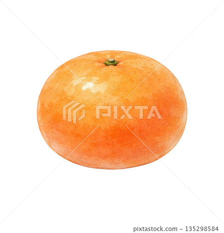 一幅水彩風格的橘子插圖 135298584