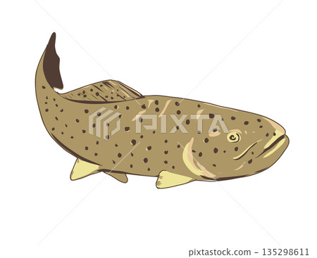 Apache Trout Front View WPA Art 135298611