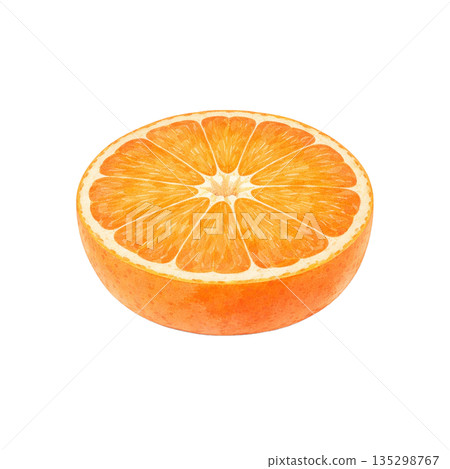 柑橘橫切面的水彩插圖 135298767
