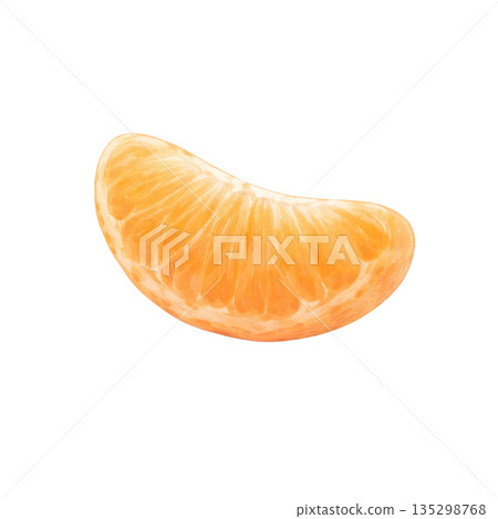 一束橘子的水彩插圖 135298768