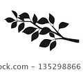 Illustration of a silhouette of a branch with leaves 135298866