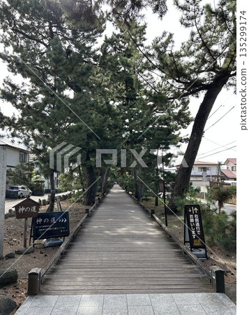 靜岡市三保松原 135299174