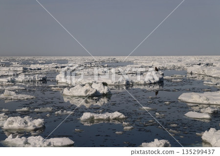 Eagle on Ice Eagle on Ice 135299437