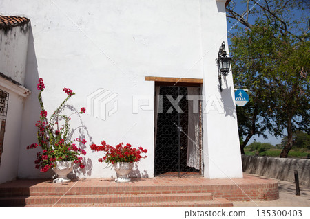 Beautiful Buganvilia plants at the colonial streets of the Heritage Town of Santa Cruz de Mompox in Colombia. 135300403